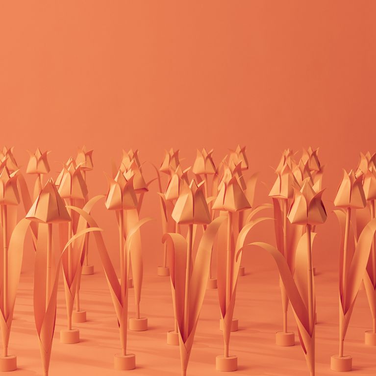 SNOCKS SPRING CAMPAIGN