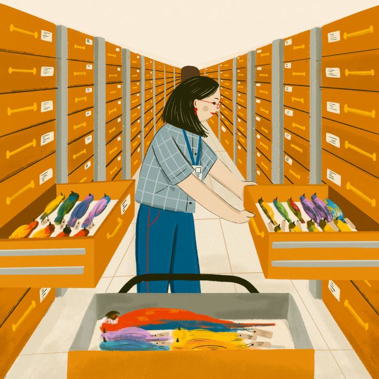 THE MUSEUM`S COLLECTION