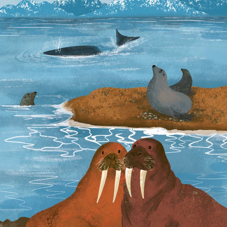 WHAT TO LOOK FOR BY THE SHORE