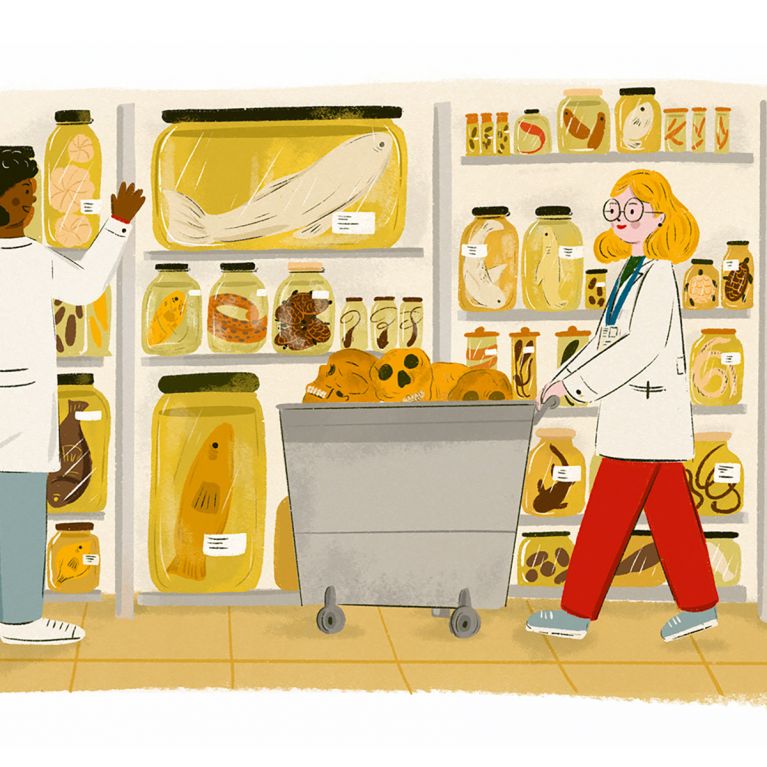 SCIENTISTS AT THE MUSEUM