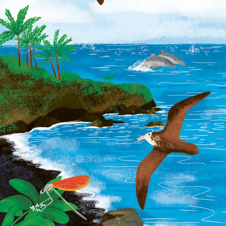 WHAT TO LOOK FOR BY THE SHORE