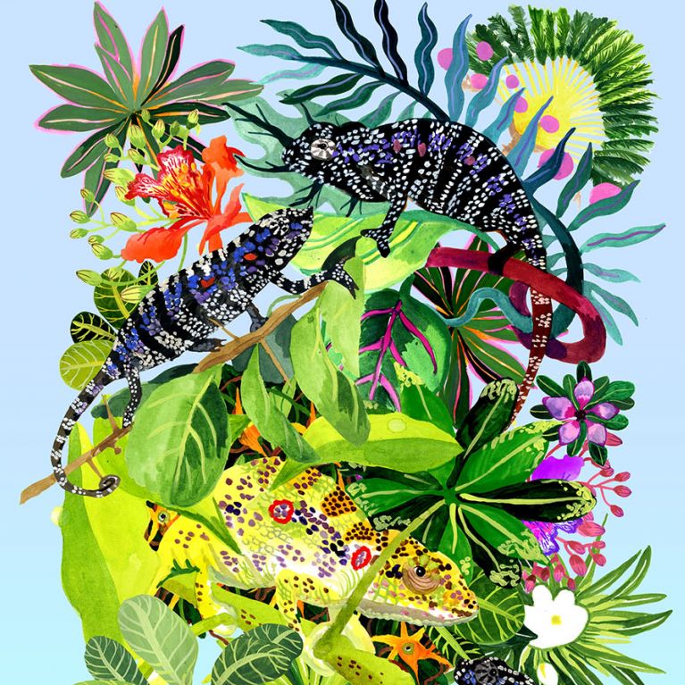 Good Wives and Warriors