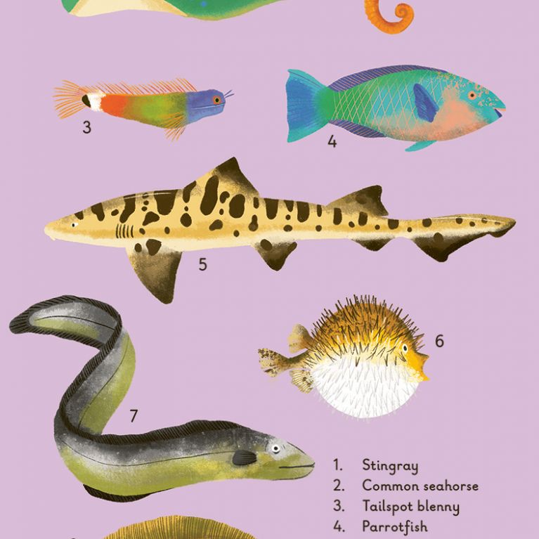 WHAT TO LOOK FOR BY THE SHORE