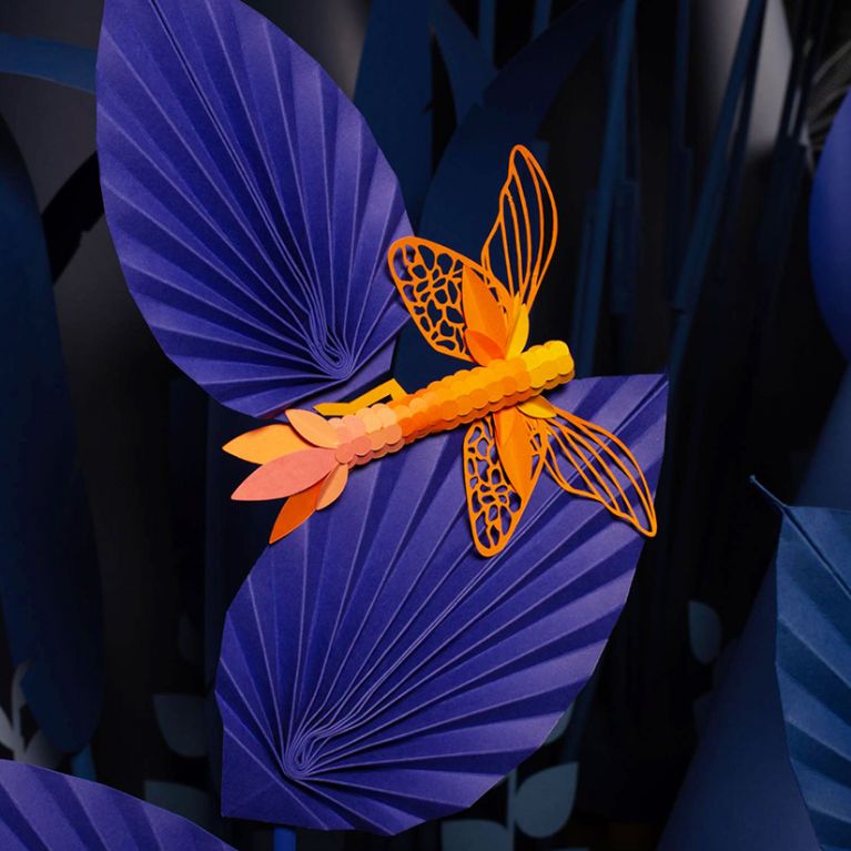 WONDERSPACES SAN DIEGO