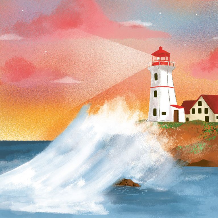 WHAT TO LOOK FOR BY THE SHORE