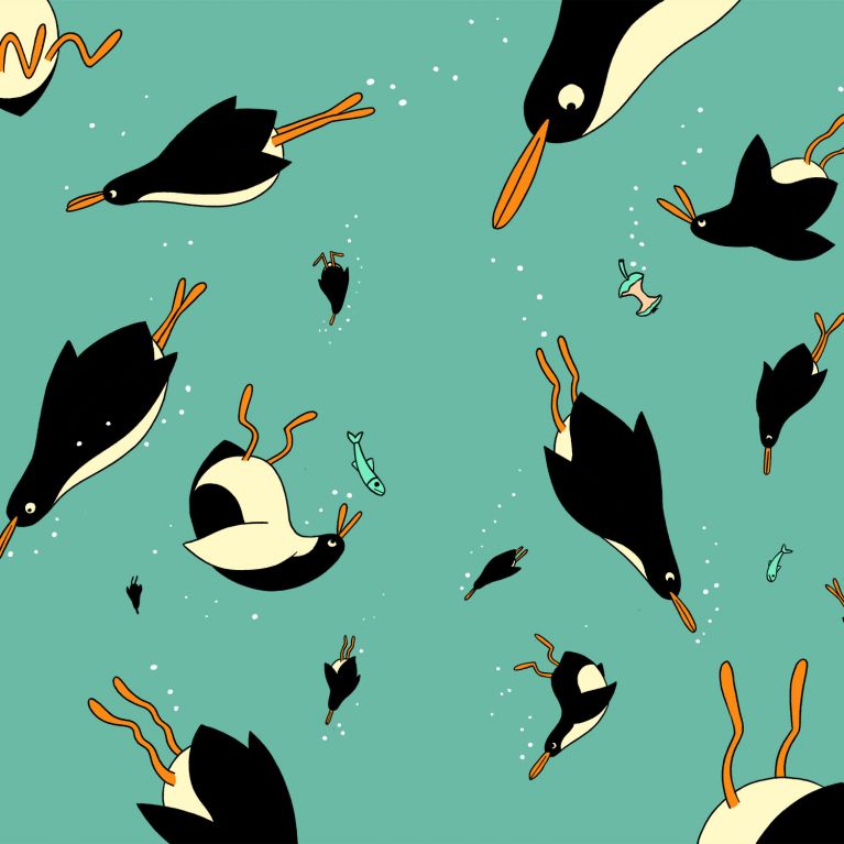 Penguin Children`s Book