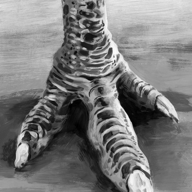 STIRTON`S THUNDER BIRD